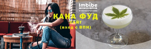 молекула духа Богородицк