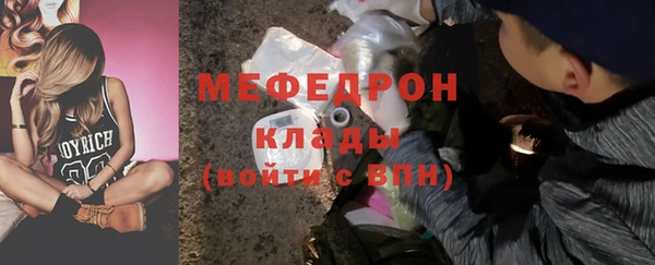 ECSTASY Богданович