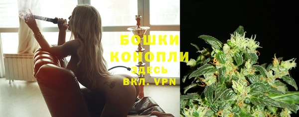ECSTASY Богданович