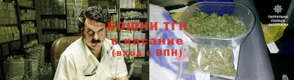молекула духа Богородицк