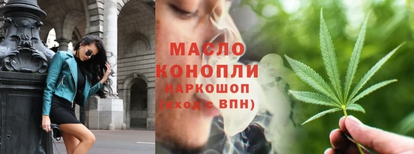 молекула духа Богородицк
