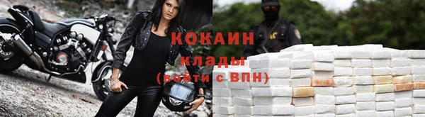 ECSTASY Богданович