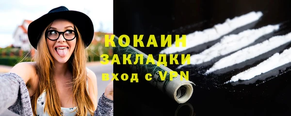 молекула духа Богородицк