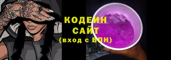 ECSTASY Богданович
