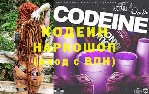 ECSTASY Богданович