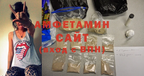 молекула духа Богородицк