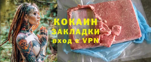 ECSTASY Богданович