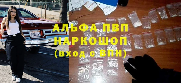 молекула духа Богородицк