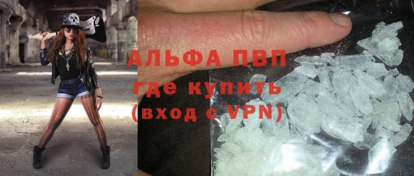 молекула духа Богородицк