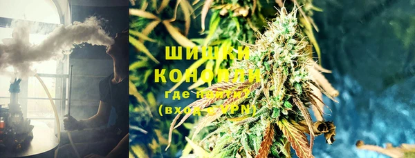 ECSTASY Богданович