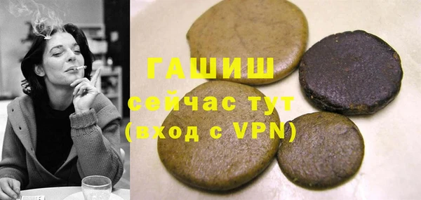 молекула духа Богородицк